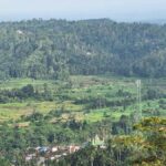 Sidemen Trekking: Dwangga Hill Hike in Sidemen (Peak 800M) - Who Should Consider This Tour?