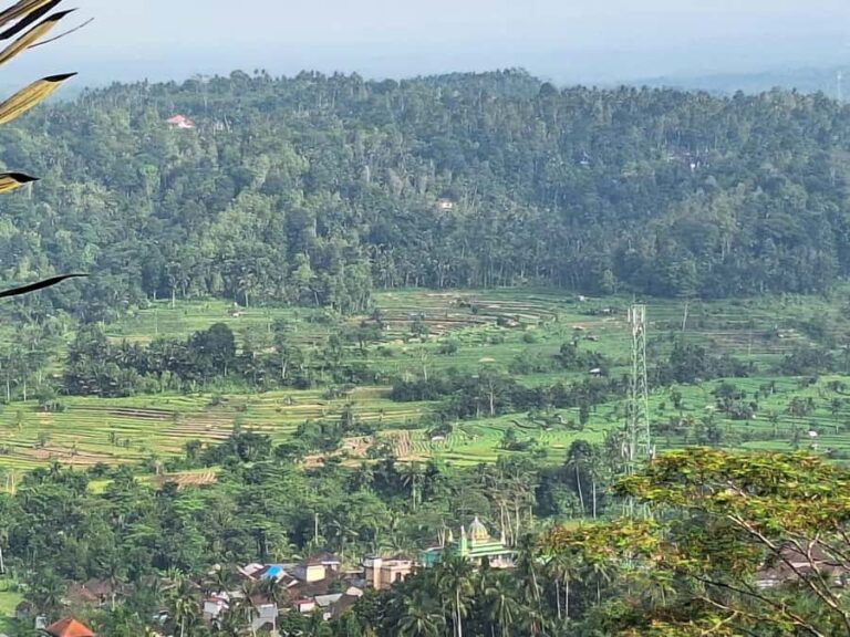 Sidemen Trekking: Dwangga Hill Hike in Sidemen (Peak 800M) - Who Should Consider This Tour?