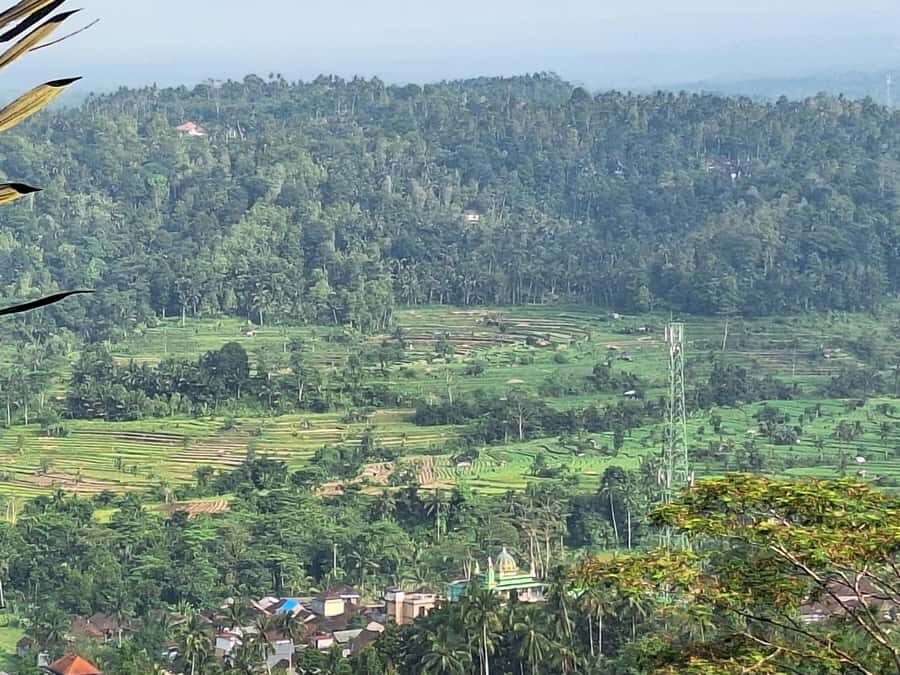 Sidemen Trekking: Dwangga Hill Hike in Sidemen (Peak 800M) - Who Should Consider This Tour?