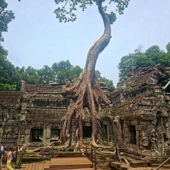 Siem Reap: 1-day group tour of Angkor with Spanish tour guide - An In-Depth Look at the Tour Experience