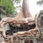 Siem Reap: 4 Hour-Ta Prohm and Banteay Kdei Guided Tour - Exploring Srah Srang: The Kings Baths