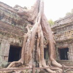 Siem Reap: 4 Hour-Ta Prohm and Banteay Kdei Guided Tour - What’s Included and What’s Not