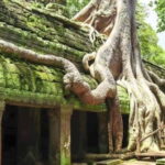 Siem Reap: Angkor and Ta Prohn Ancient Temples 3-Day Tour - FAQ