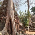 Siem Reap: Angkor Full-Day Group Tour with Japanese Guide - What Travelers Say