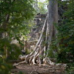 Siem Reap: Angkor Temples Off-Track Bicycle Tour - An In-Depth Look at the Itinerary