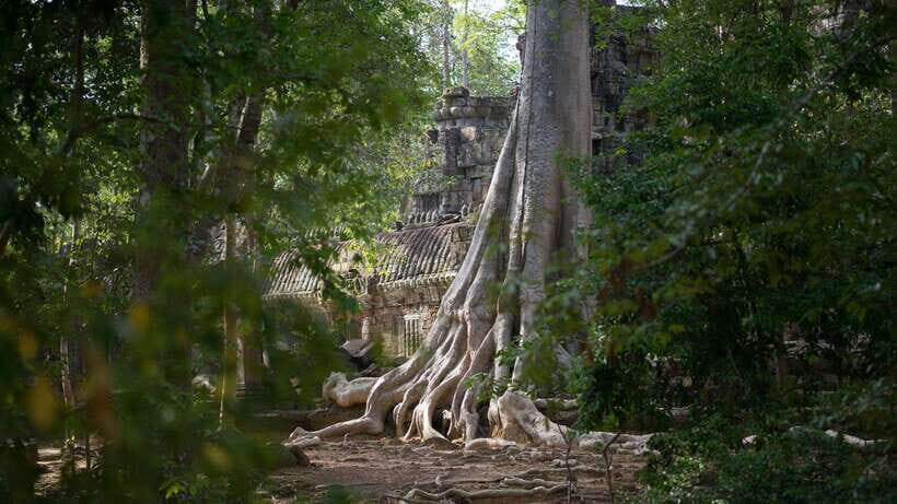 Siem Reap: Angkor Temples Off-Track Bicycle Tour - An In-Depth Look at the Itinerary