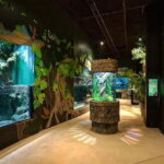 Siem Reap: Angkor Wildlife & Aquarium Entrance Ticket - Authentic Traveler Insights