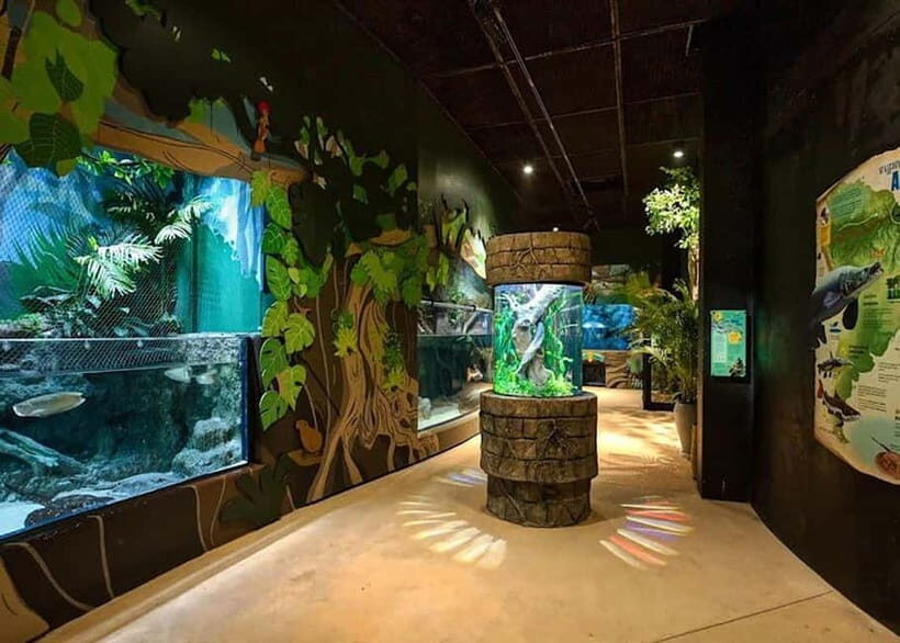 Siem Reap: Angkor Wildlife & Aquarium Entrance Ticket - Authentic Traveler Insights