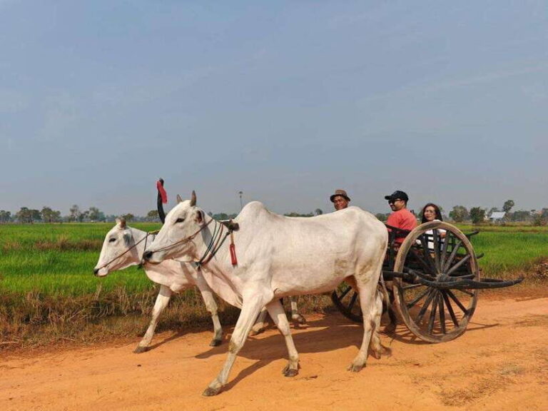 Siem Reap: Authentic Village Tour with Ox Cart Ride - What’s Included and What to Keep in Mind