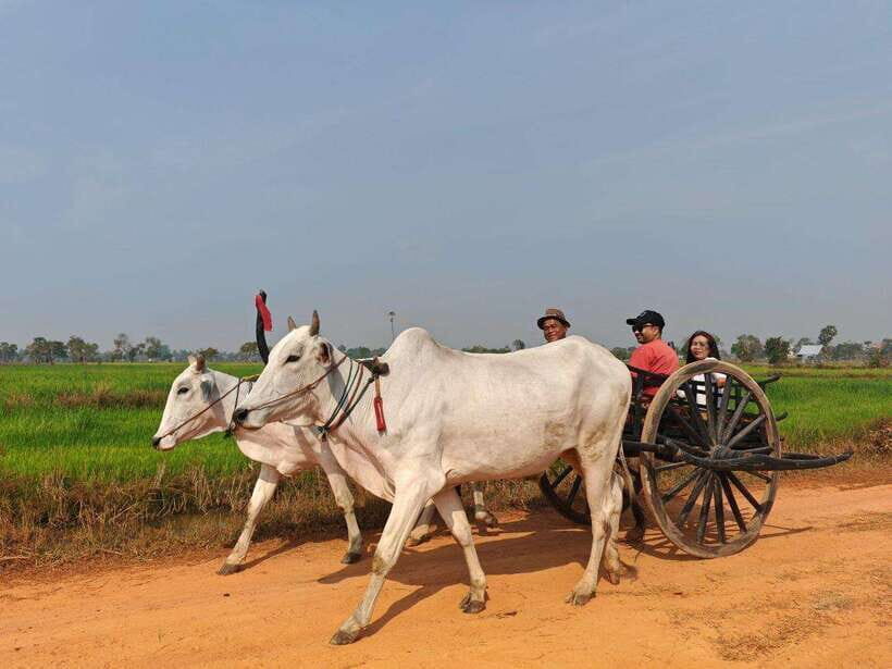Siem Reap: Authentic Village Tour with Ox Cart Ride - What’s Included and What to Keep in Mind