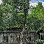 Siem Reap: Banteay Srei, Beng Mealea & Kampong Phluk Tour - Practical Details and Tips