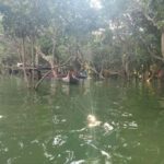Siem Reap: Beng Mealea Temple, Floating Village Private Tour - Detailed Breakdown of the Itinerary