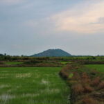 Siem Reap: Countryside Cycle and Local Village Life Tour - Practical Details and Worth