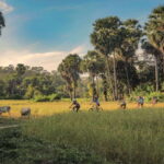 Siem Reap: Countryside Guided Tour by Bike and E-Bike - The Itinerary: A Closer Look at Each Stop