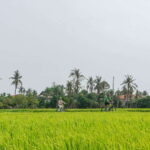 Siem Reap: Countryside Sunset Bike Ride - Final Thoughts