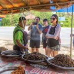 Siem Reap Countryside Vespa Backstreet - The Experience of a Vespa Ride
