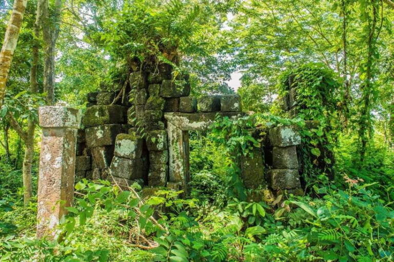 Siem Reap: Day Trip to Koh Ker and Beng Mealea Temples - What’s Included and What’s Not