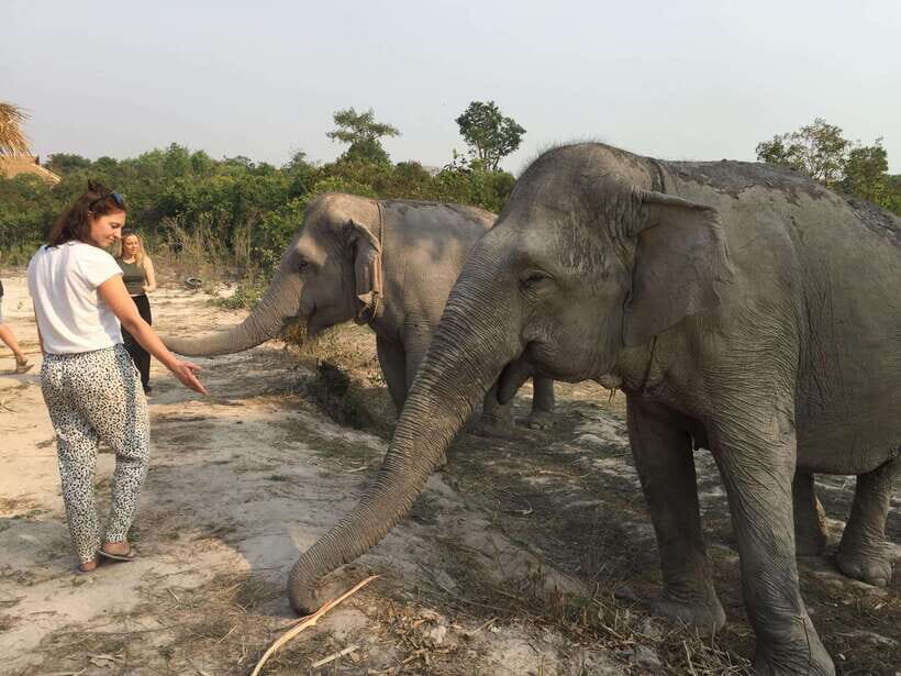 Siem Reap: Dine with Elephants, a Nature & Wildlife Journey - Authentic Insights from Past Visitors