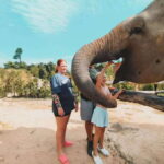 Siem Reap: Elephant Sanctuary Included Hotel Pickup Drop-off - Why This Tour Offers True Value