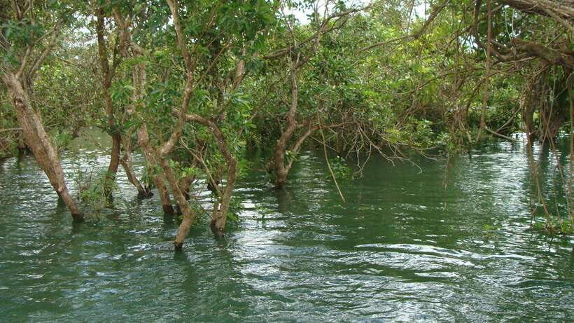 Siem Reap Floating Village Tour, Kompong Phluk Tour - What to Expect from the Tour