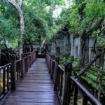 Siem Reap: Koh Ker and Beng Mealea Guided Day Trip - What Makes This Tour Special?