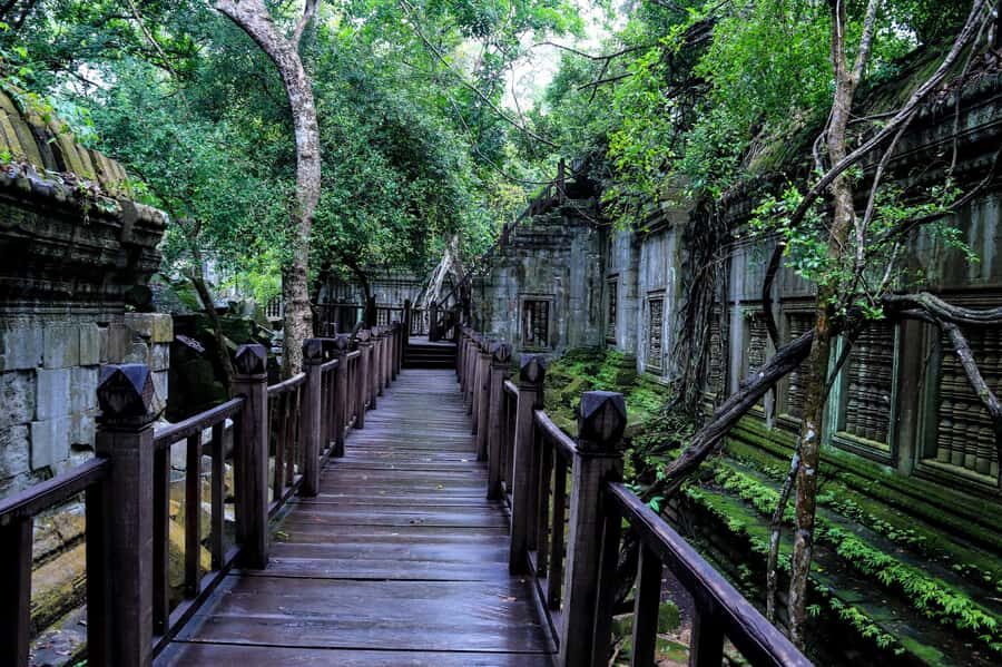 Siem Reap: Koh Ker and Beng Mealea Guided Day Trip - What Makes This Tour Special?