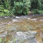 Siem Reap: Kulen Mountain Waterfall Small-group Tour - Practicalities: What You Need to Know