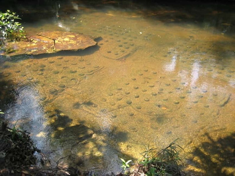 Siem Reap: Kulen, Waterfall 1000 lingas hosting by Local - Final Thoughts: Is It Worth It?