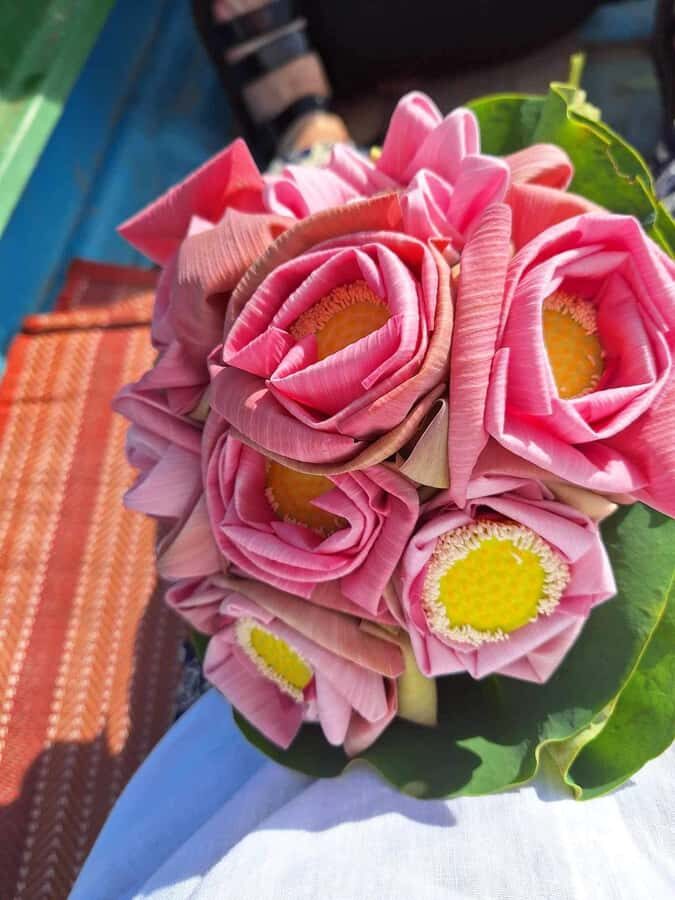 Siem Reap: Lotus Silk Farm - Tour, Lake & Artisan immersion - Introduction: A Cultural Jewel in Siem Reap