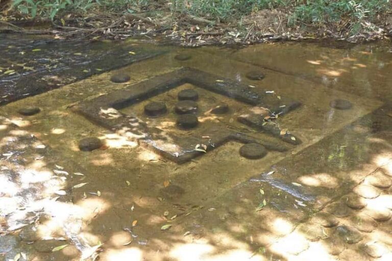 Siem Reap: Phnom Kulen & Elephant Sanctury Private Tour - Wildlife and Ethical Encounters at the Elephant Sanctuary