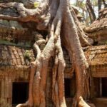 Siem Reap: Private 4-Day Angkor Wat and Phnom Kulen Tour - What to Expect: Practical Details and Tips