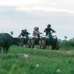 Siem Reap: Quad Bike Tour of Local Villages - Sunset over the Rice Paddies