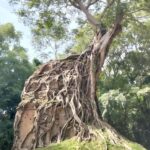 Siem Reap: Sambor Prei Kuk & Floating Village Private Tour - The Sum Up: Is This Tour Worth It?