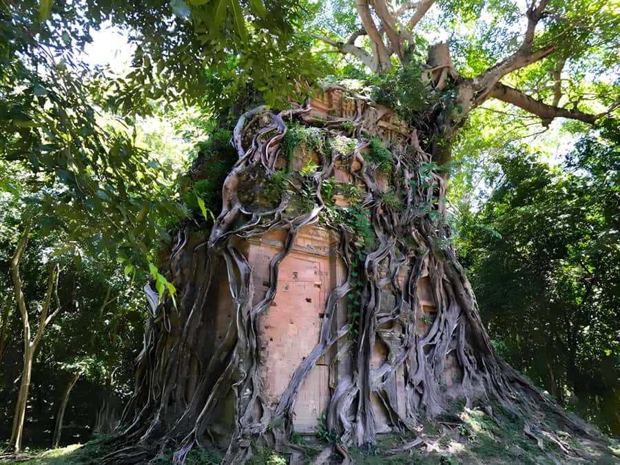 Siem Reap: Sambor Prei Kuk & Preah Kan Kampong Svay Tour - FAQs