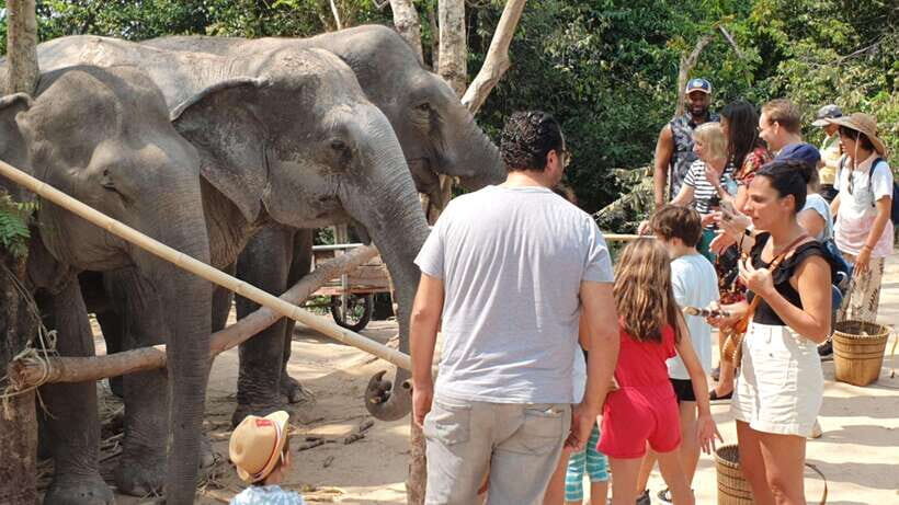 Siem Reap: Small Group Tour of Kulen Elephant Forest - Why This Tour Stands Out