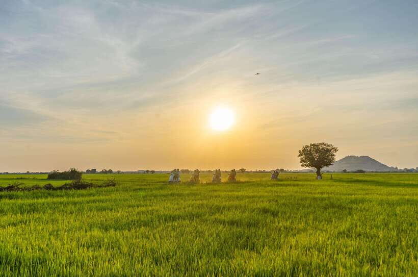 Siem Reap: Sunset Guided Vespa Tour & Local Villages - Visiting Local Farms and a Remote Buddhist Temple