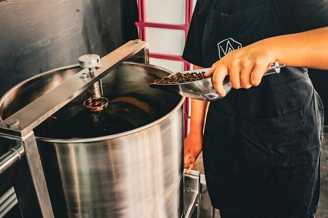 Siem Reap  Visit to Cambodias first chocolate factory - Authentic Insights from Reviewers