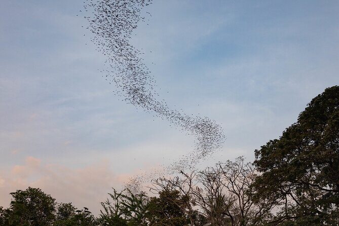 SiemReap to Battambang Private Sunset Tour with a Bamboo Ride - Who is This Tour Best For?