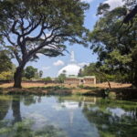 Sigiriya: Anuradhapura Guided Day Trip - What to Expect from the Tour