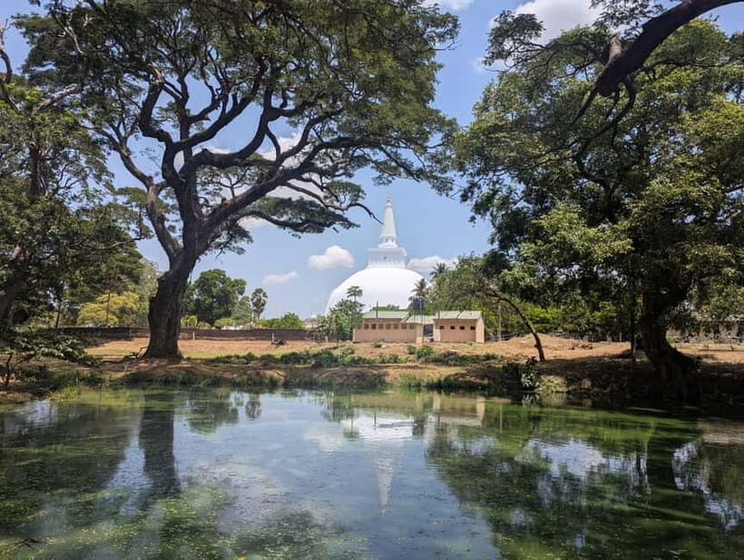Sigiriya: Anuradhapura Guided Day Trip - What to Expect from the Tour