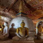 Sigiriya & Dambulla: All Inclusive Day Tour - Who Will Love This Tour?