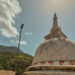 Sigiriya Dambulla and Minneriya Day Tour from Kandy - Practical Details and What to Expect
