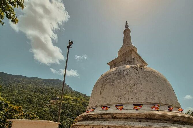 Sigiriya Dambulla and Minneriya Day Tour from Kandy - Practical Details and What to Expect