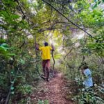 Sigiriya: Jungle Tour with Birdwatching and Wildlife - Why This Tour Offers Great Value