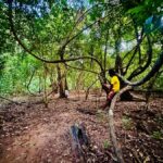 Sigiriya: Jungle Tour with Birdwatching and Wildlife - Why This Jungle Tour Offers Genuine Value