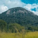 Sigiriya: Ritigala Forest Monastery & Dambulla Temple Tour - Dambulla Cave Temple: A Treasure Trove of Art and Spirituality