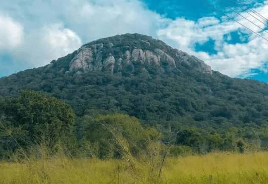 Sigiriya: Ritigala Forest Monastery & Dambulla Temple Tour - Dambulla Cave Temple: A Treasure Trove of Art and Spirituality