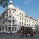 Sigiriya to Ella Scenic Train Transfer with Kandy Sightseein - Luggage Handling & Convenience