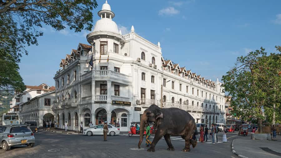 Sigiriya to Ella Scenic Train Transfer with Kandy Sightseein - Luggage Handling & Convenience