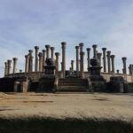 Sigiriya:Polonnaruwa Day Tour WithMinneriya Elephant Safari - Who Will Benefit Most From This Tour?